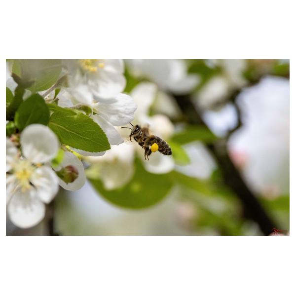 PHOTO84, CLUB, 84 , LUBERON